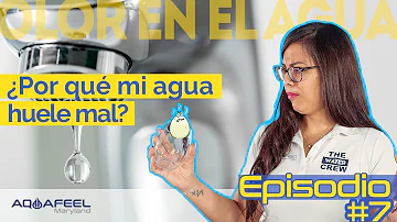 ¿Por qué huele mal el agua de Disney?