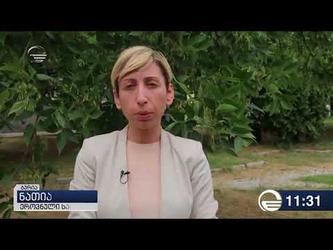 გურიაში აზიური ფაროსანას მონიტორინგის სისტემები დამონტაჟდა