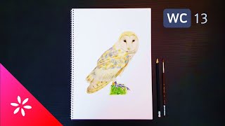 Watercolour Painting - Barn Owl