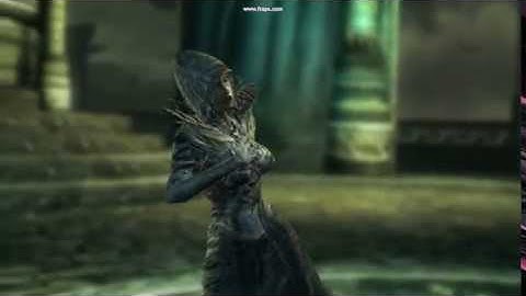 Divinity II: Developer