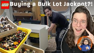 Best Bulk Lot EVER! & How to sort trough all this LEGO