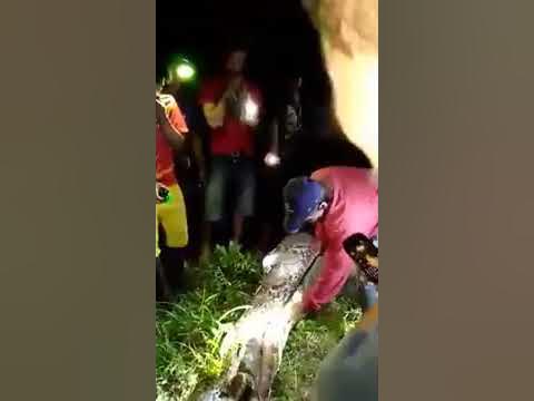 Akbar Salubiro, Python - YouTube