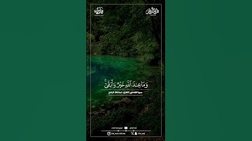 ماتيسر من سورة القصص | القارئ : عبدالملك الراجح