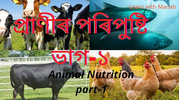 প্ৰাণীৰ পৰিপুষ্টি সপ্তমমান শ্ৰেণীৰ বিজ্ঞান পাঠ্যপুথিৰ ২য় টো পাঠ(১ম ভাগ)/Class 7 science chapter 2