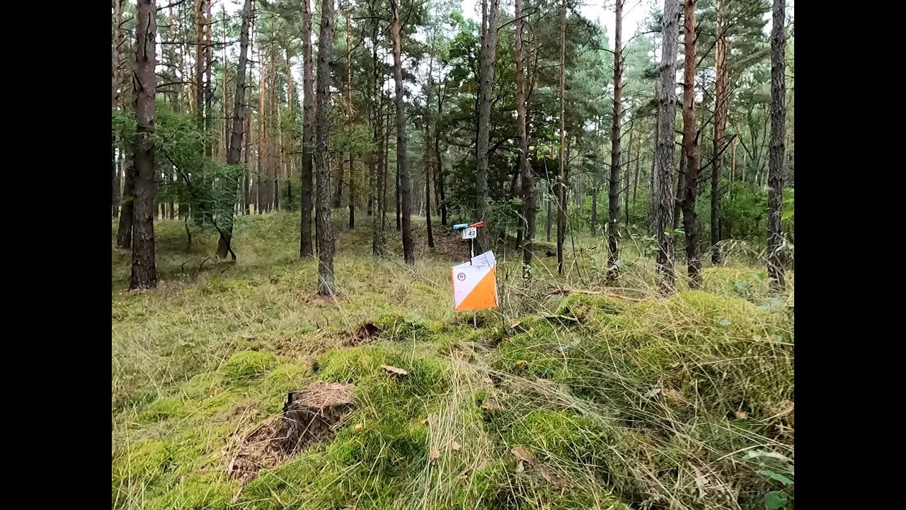Mistrzostwa Polski w średniodystanowym biegu na orientację