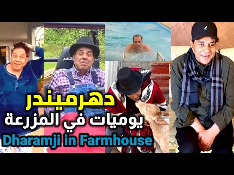 Dharmendra In His Farmhouse With Beuatiful Cowes الأسطورة دهرميندر ويومه في المزرعة 