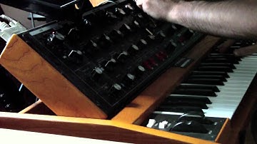 Moog Voyager Old School + Delay = Fat & Bouncy