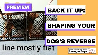 Back it Up: Shaping Your Dog's Reverse Preview