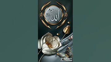 قرآن كريم# ارح قلبك وسمعك# تلاوه خاشعة# الشيخ فارس باعباد ✨