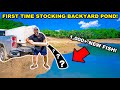 STOCKING New BACKYARD POND with THOUSANDS of FISH!!!