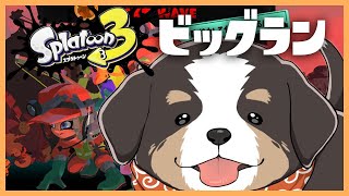 すこしだけビーッグビッグビッグビッグビッグラン【スプラ配信】