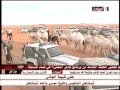 فن جابر الجفراني كلمات زاين العمار مسيرة موسى الموسى 