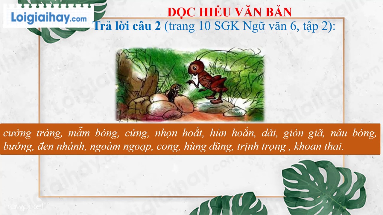 Soạn văn bài bài học đường đời đầu tiên | Soạn bài Bài học đường đời đầu tiên trang 3 SGK ngữ văn 6 tập 2