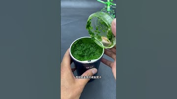 Bài mồi câu cá trắm cỏ hiệu quả #dammecauca #cauca #fishing #fishingvideo #moicauca #moicau #câucá