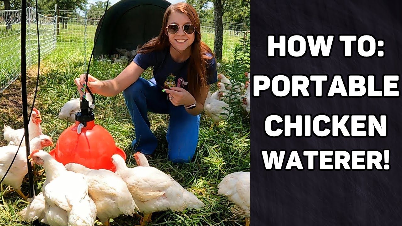 HOW TO: EASY, Portable, Auto Chicken Waterer! 