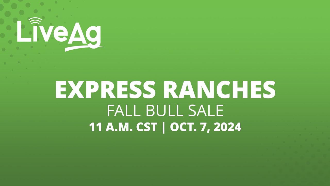 Express Ranches Fall Bull Sale