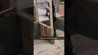 when you cant find the hole #airsoft #speedqb #speedsoft #funny