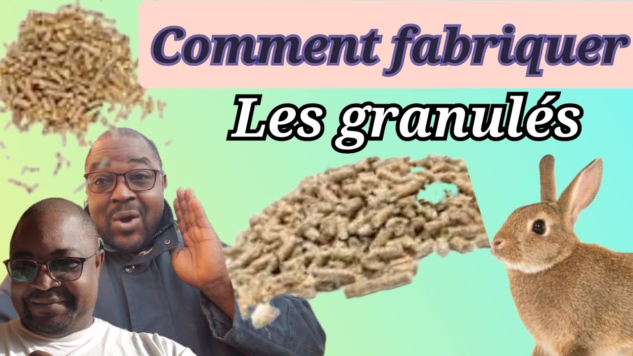 VOUS POUVEZ FABRIQUER VOUS MÊME LES GRANULÉS POUR NOURRIR VOS LAPINS: voici une formule alimentaire