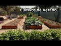 Paseo por el Huerto, Vemos los Cultivos al Inicio del Verano