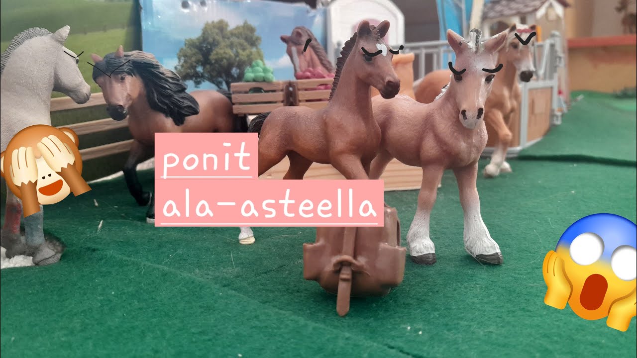 Ponit ala-asteella 🐎 🏫