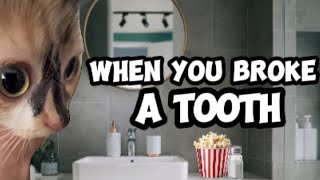 CAT MEMES: YOU BROKE A TOOTH