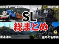 【完全版】日本で走るSL列車を全てまとめてみた
