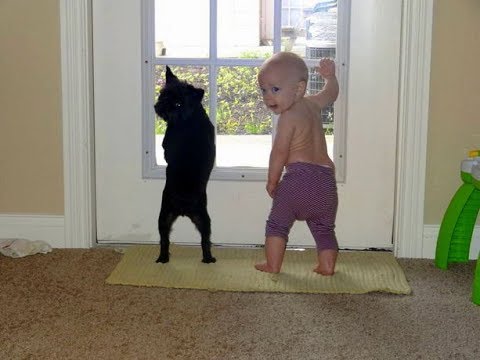 extremely-cute-dogs-and-babies-welcome-daddy-home---nothing-beauty-than-friendship-of-dog-and-baby