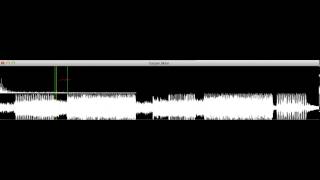 autolooper test