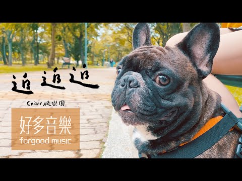 Crispy脆樂團 [追追追] Official DOG Video