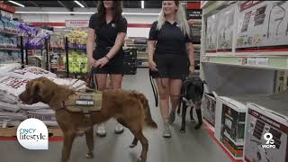 Beat the Summer Heat with Tractor Supply Co. | Cincy Lifestyle