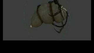 Information HL2 Advisor animations Update
