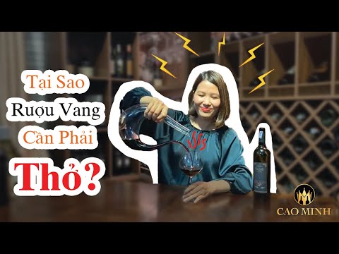 Video: Tại Sao Rượu Vang Lại Hữu ích?