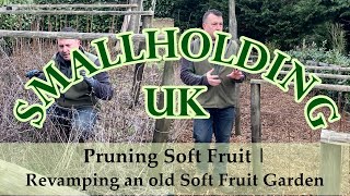 Pruning Soft Fruit | Revamping an Old Soft Fruit Garden screenshot 1