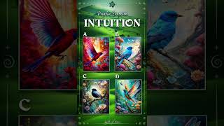 Which Image Have I Chosen? Intuition #13