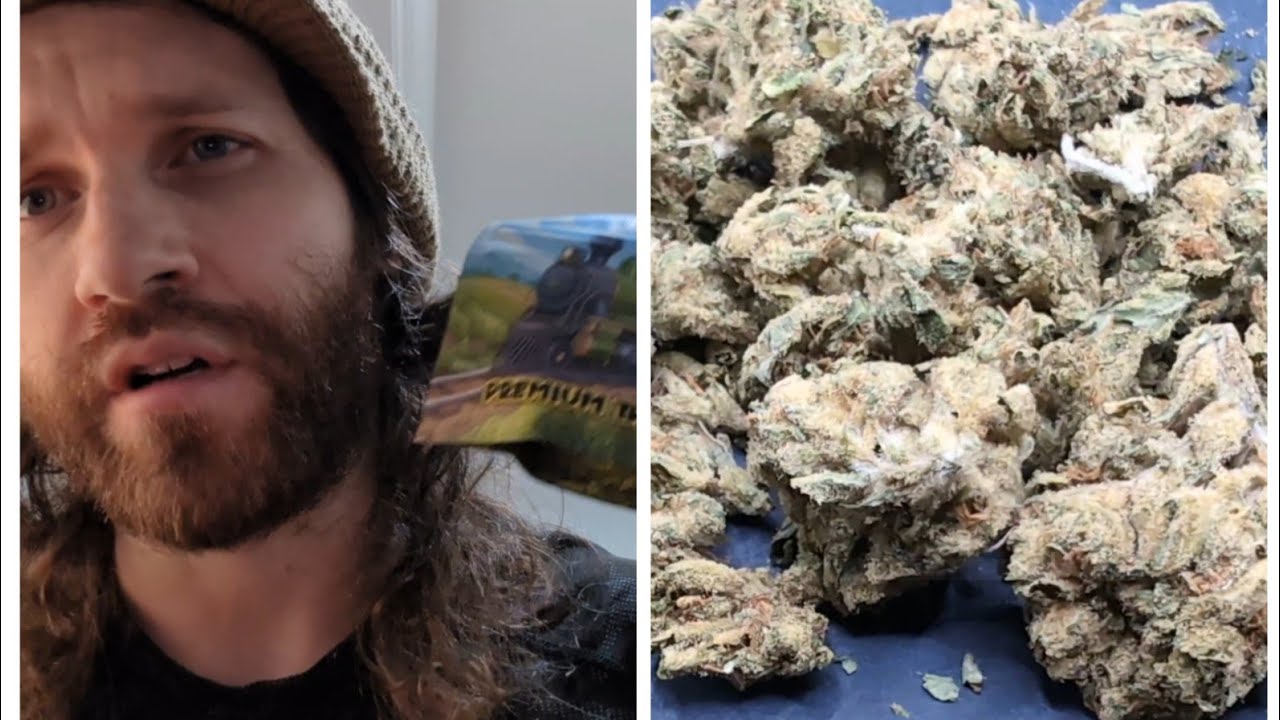 "sour OG" thca small buds outdoor flower ⛽🌲🍋 