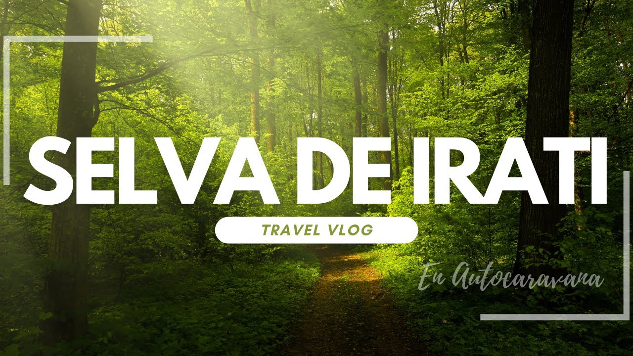 🚐 Selva de IRATI | NAVARRA en AUTOCARAVANA  OTOÑO 🍂 : SELVA de IRATI