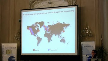 Speciation 2010: Felicity Jones - The genomics of parallel evolution and reproductive isolation