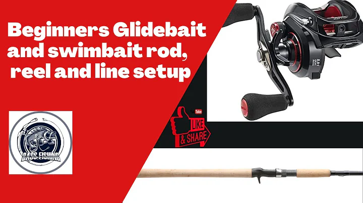 Beginners Glidebait and Swimbait rod, reel and line setup combo