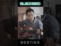 BLACKBIRD BEATIES (GuitarCover)
