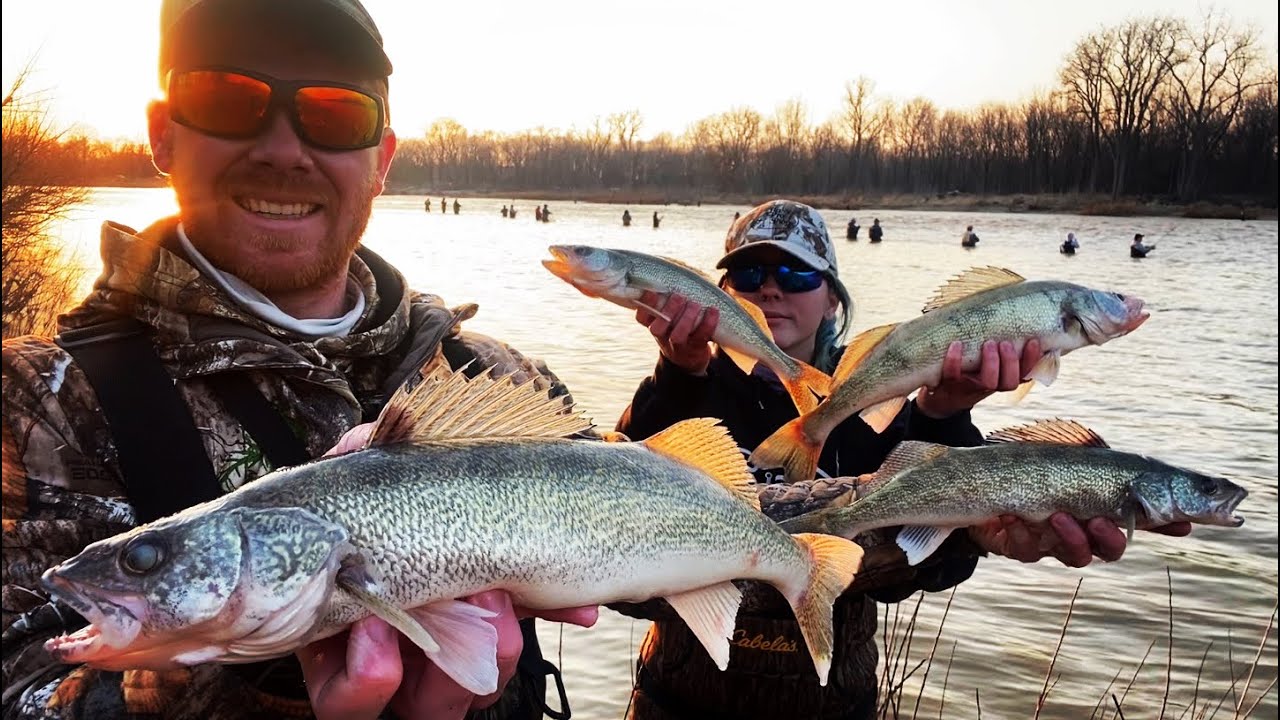 How To Fish The Maumee River! Ohio River Walleye Fishing! 
