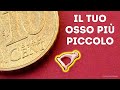 I segreti più sorprendenti delle ossa umane! Non crederete a quello che c'è dentro