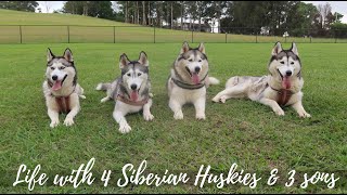 LIFE WITH 4 SIBERIAN HUSKIES &amp; 3 SONS | DOG PARK &amp; THE BEST EASTER EGG HUNT! | VLOG