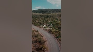 اكتب شيء تؤجر عليه | سورة الزمر الآية 11-12 القارئ ماهر المعيقلي