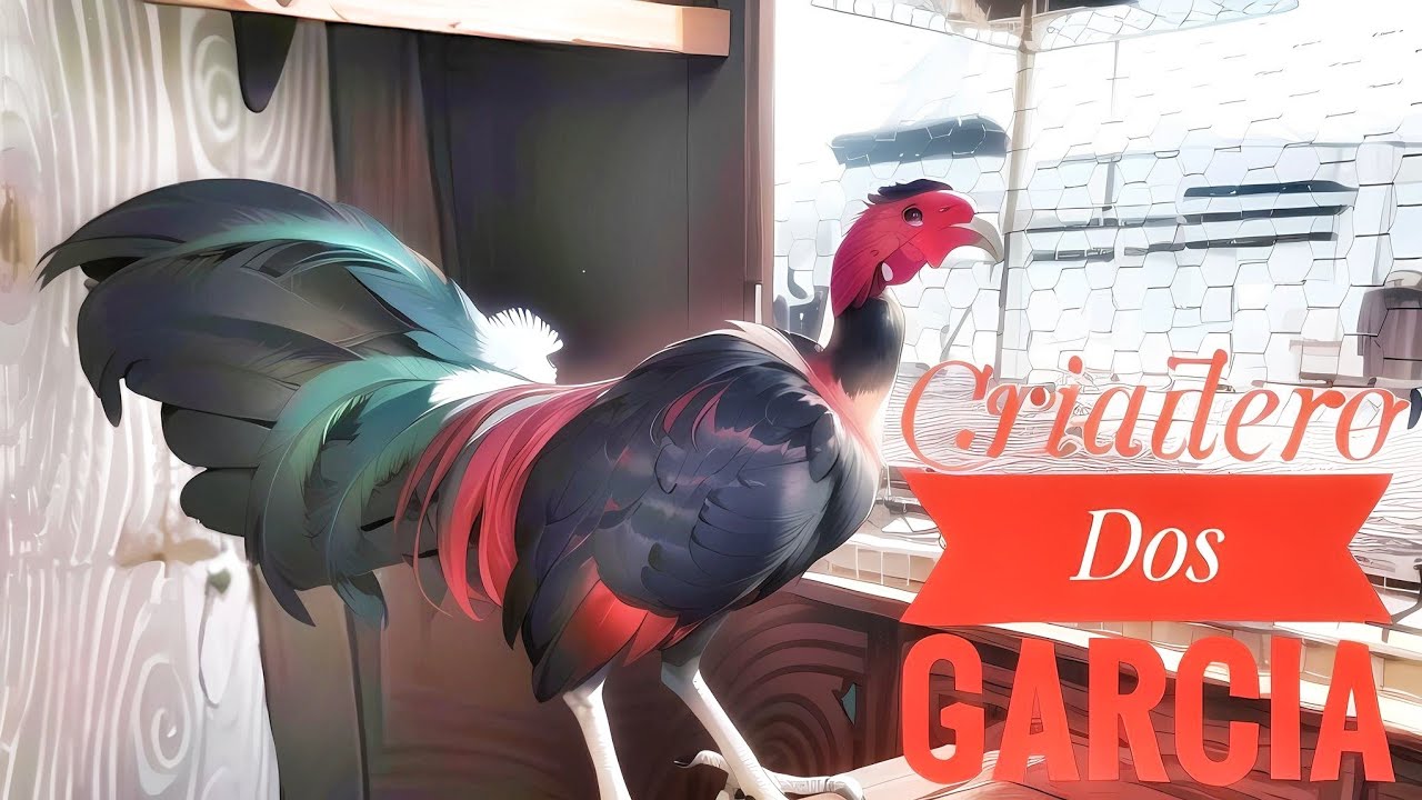 Criadero Dos Garcia En Balch Springs, Texas!