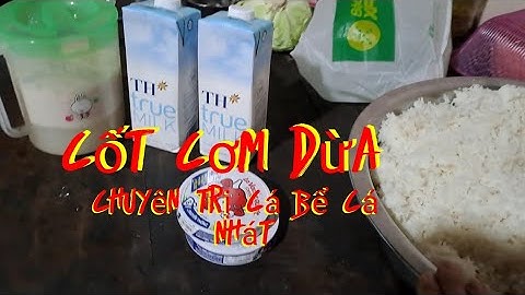 Bài mòi cơm dừa// câu ca tra sông chia sẽ cùng anh em tham khảo @phong buntau