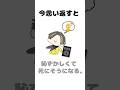 橘ほたるに関する面白い雑学 #shorts
