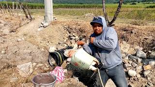 Aplicación de Cobre para el  Hongo