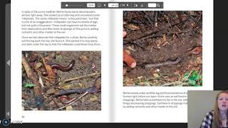 Grade 5: Ecosystem Restoration, Chapter 3, Lesson 3.2 (Part 3 of 3)