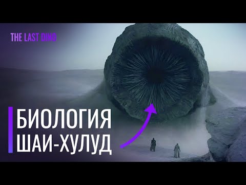 Биология Песчаных червей из "Дюны"