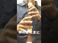 有名ボカロ曲『神のまにまに』をリコーダーで吹いてみた！【ボカロ懐メロ祭り2022】#shorts